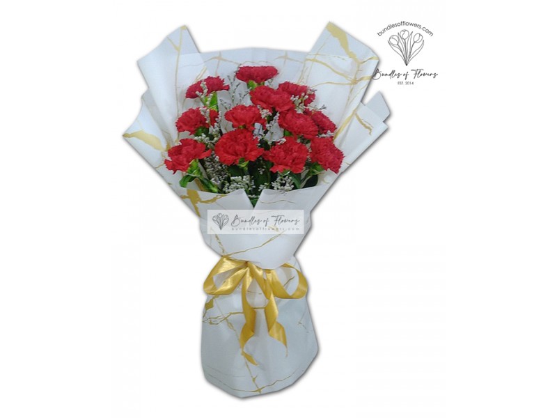 Carnations Bouquet 02